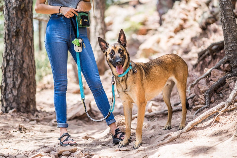 OllyDog Flagstaff Collar, Webbing Dog Collar with Side-Release Buckle, Lightweight Training Collar for Large, Medium and Small Dogs (Small, Sage Bark) - Image 4